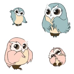 Cute owls set on white background