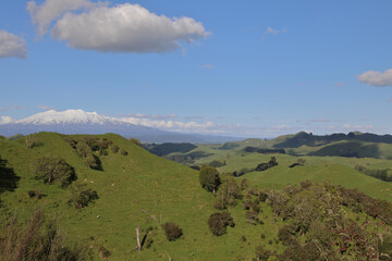 Obraz premium Mount Ruapehu Neuseeland / Mount Ruapehu New Zealand