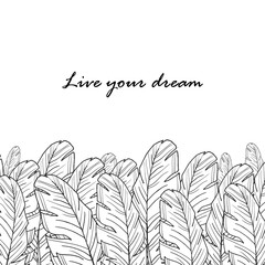 Postcard with feathers and inscription. Vector illustration.Live your dream. Stock vector. Black and white picture.