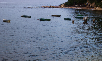 Boat on the river