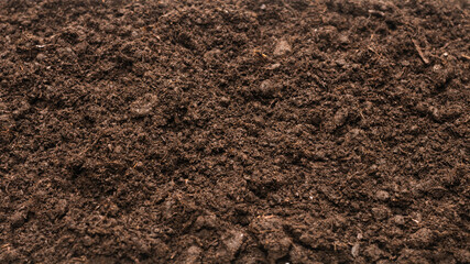Black land for plant background.