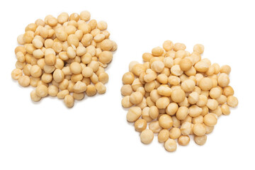 Macadamia nuts isolated on white background.