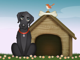 illustration of black dog in the kennel