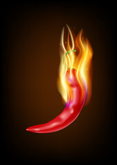 Hot red chili peppers and flames on dark background, vector icon, food ingredient and vegetable food.