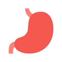 Stomach internal abdominal organ, stomach area. Gastrointestinal indigestion, helicobacter, disease and Illness stomach. Gastroenterology, tract system examination. Vector
