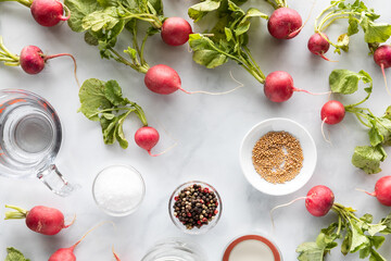 Top down view of ingredients used to pickle radishes.