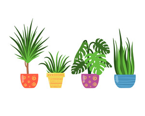 Big set, collection of various houseplants. Flat style and texture, vector illustration isolated on white background.