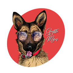 Portrait of hipster german shepherd wearing a glasses and tie bow. Vector engraved detailed dog illustration. Hand drawn. Colored. Clothing print, poster, pet shop flyer, party banner. Be a gentleman. - 429023708
