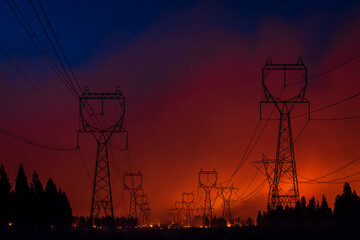 Wildfire in the Power Grid