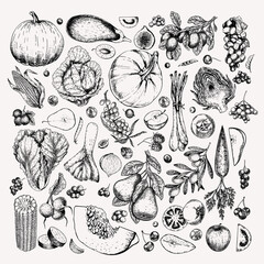 Hand drawn vegetables and fruits. Vector pumpkin, pear,apple, artichoke, plum, grape, tomato, onion, cherry, gooseberry blackberry. Engraved illustration. Menu flyer package design. - 429023980