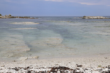 Küste Kaikoura / Kaikoura coast /