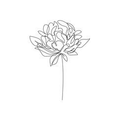 Peony Flower Vector Hand Drawn Line Art Drawing. Minimalist Trendy Contemporary Floral Design Perfect for Wall Art, Prints, Social Media, Posters, Invitations, Branding Design.