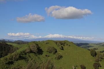 Naklejka premium Mount Ruapehu und Mount Ngauruhoe Neuseeland / Mount Ruapehu and Mount Ngauruhoe New Zealand
