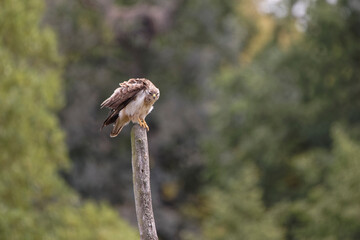 Buse variable piste 1: décollage !