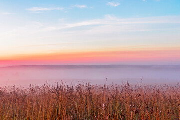 Fototapeta na wymiar dawn over a foggy field in an early summer morning