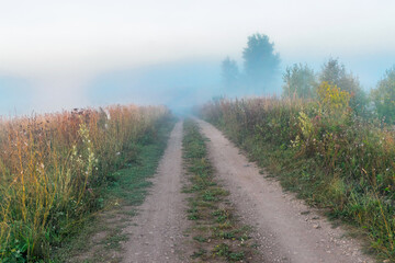dawn over a foggy field in an early summer morning