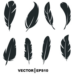 set of feathers on white background.