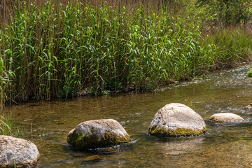 Fototapeta na wymiar Round rocks in a river with water and green reeds in the background. 