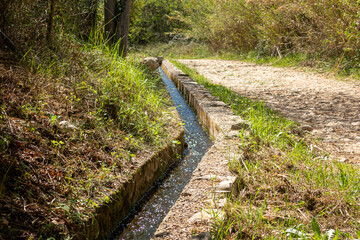 Small ditch with water next to a rural road.