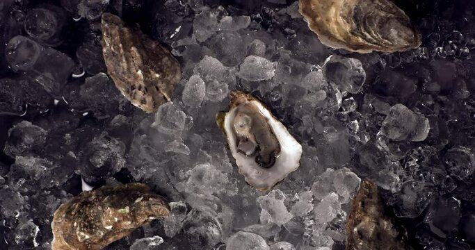 SUPER SLOW MOTION Overhead top view of opened oyster falling into ice pile. Shot with high speed camera, 420 FPS