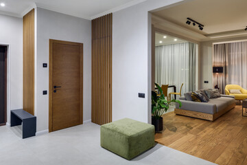 hallway in the apartment, modern apartment, living room