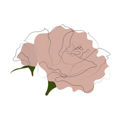 Rose flower bud. Minimalist logo contour drawing. Artwork for banner, book design, web illustration, cards. Vector lineart.