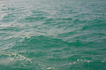 Green sea wave at sunset