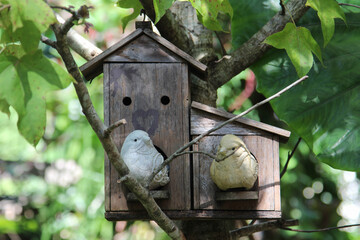 Bird statue in the bird house on the tree.