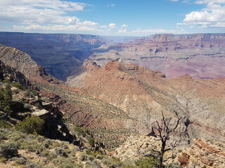 grand canyon state