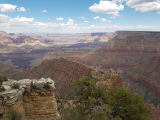 grand canyon state