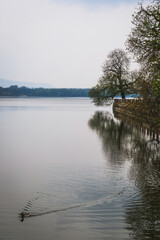 Old Lake of Tata town in Hungary
