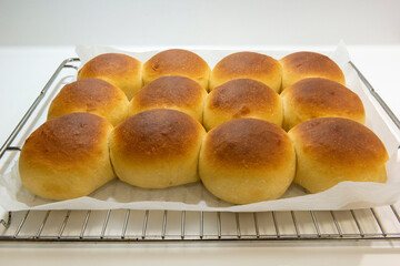 BOLLOS DE LECHE