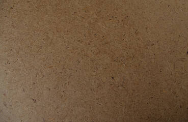 Shadowed Beige Paper Backdrop, Plywood Texture