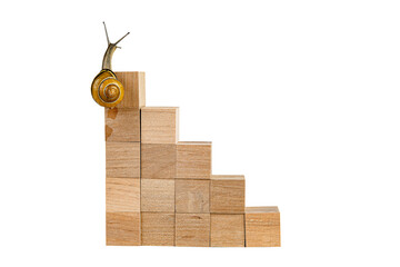 Snail walk up the career stairs. Ladder made with wooden cubes. Isolated on white background.