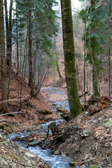 Polish mountains in spring/autumn during walk in forest on Soszow, Wisla.