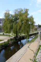 Saule pleureur dans les jardins des remparts à Vannes en Bretagne