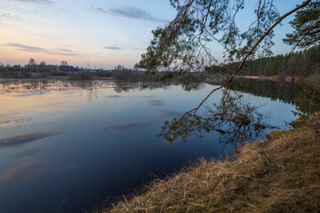 Sunset river quiet landscape view. Evening by the river. Pine branches against the background of the evening sky.