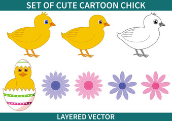 Set of cute cartoon chick vector illustration isolated on white. Hand drawn yellow, black and white chicks with pink and blue flowers. and egg.