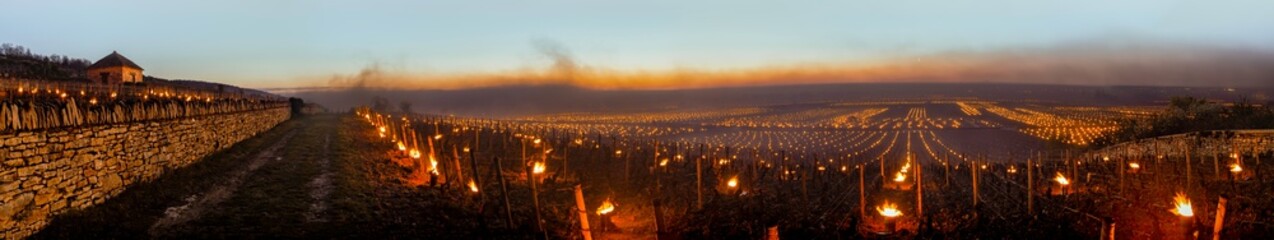 bougies contre le gel sur la côte de Beaune (Puligny Montrachet)