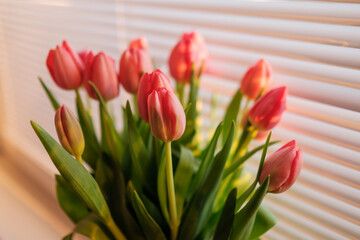 Bouquet of red tulips on the windowsill at sunlight