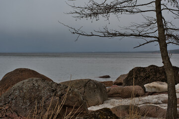 Granite boulders of various shades on the shore, on which still snow and ice lie, against the background of the Narva Bay, under the heavy cloudy sky of an April day, drizzling rain.