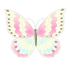 Obraz na płótnie Canvas butterfly vector art