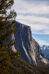 El Capitan with Trees in Foreground in Yosemite Valley