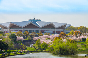 北九州市民のオアシス,　春の福岡県が管理する中央公園