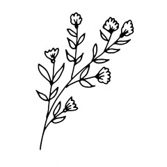 Vector illustration of doodle, leaf, summer plant, sketch .Grass leaves.