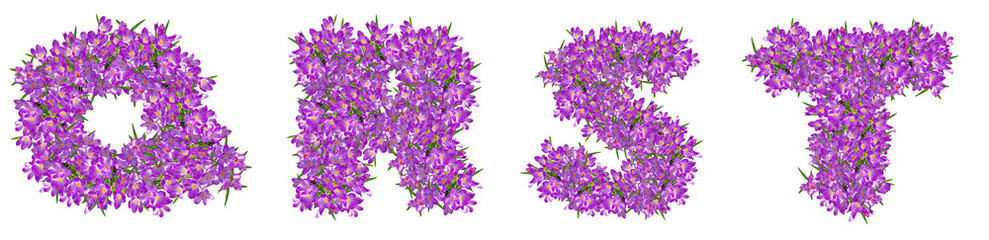 Fototapeta na wymiar Letters Q, R, S, T from lilac violets