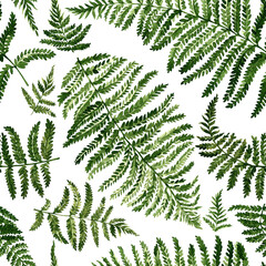 Seamless pattern made up of fern leaves, painted in watercolor on a white background.