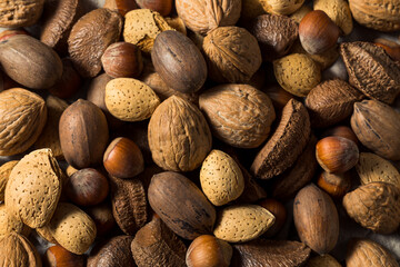 Raw Brown Organic Mixed Nuts