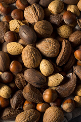 Raw Brown Organic Mixed Nuts