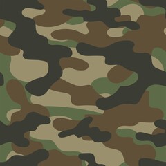 Vector Illustration of camouflage green design